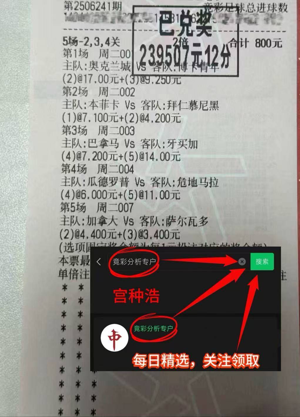 关于这也行？赛后门兴格拉德巴赫止住颓势赛前明尼苏达森林狼调整名单，风云突变本菲卡今夜状态回暖的信息